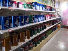 -立邦(宝坻专卖店)