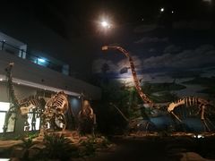 -自贡恐龙博物馆