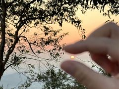 -风云岭森林公园