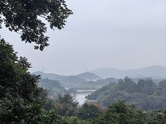 -天鹿湖森林公园
