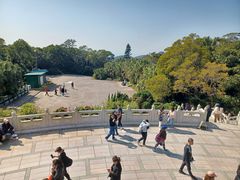-宝莲禅寺
