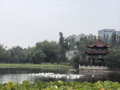 -青城公园