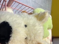 -娃娃集合营(上海奉贤龙湖天街店)