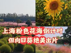 -嘉北郊野公园