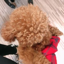 -JERRY日式美甲美睫纹绣工坊