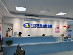 -北京观赏动物医院·24小时大型综合·猫专科·异宠专科