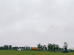 -春花秋色城市公园