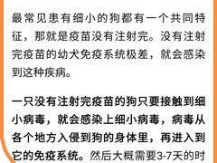 -中环花鸟鱼虫市场