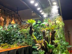 -森味薪火烧•烧鸟居酒屋•日本料理(望京店)