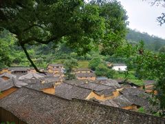 -杨家堂村