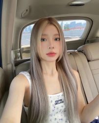 -YESIDO椰岛造型