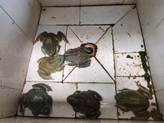 -湾里人家(旺山景区店)