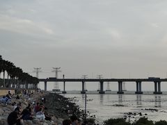 -宝安西湾红树林湿地公园