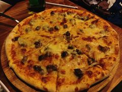 -百好乐宠物友好餐厅(朝外大街店)