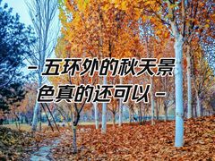 -回龙观体育文化公园