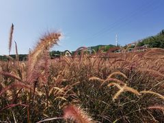 -瓷天下海丝谷
