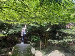 -东林大峡谷