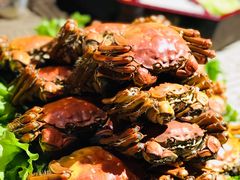 -将军牛排·尔滨地标朝鲜族美食(总店)