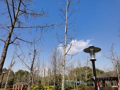-黄兴公园