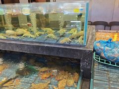 -小厨师·二十年沈家门小海鲜(百井坊巷店)
