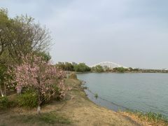 -澹台湖公园