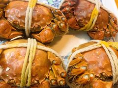 -丫丫蟹庄·苏式园林农家乐·阳澄湖大闸蟹(阳澄湖莲花岛店)