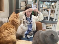 -藏猫猫咖啡主题馆(中央大道店)