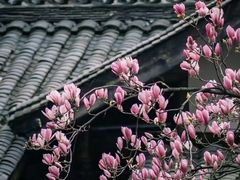-塔子山公园