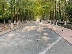 -八大关景区
