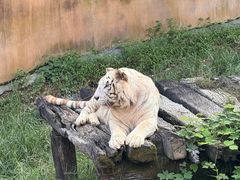-宁波野生动物园