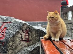 -终南山南五台景区