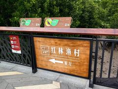 -东寨港红树林旅游区
