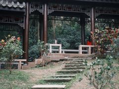 -深圳国际园林花卉博览园