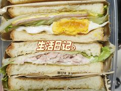 -嘉定紫藤园