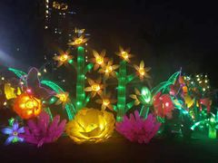 -锦江乐园舞狸花花游园会(夜场专享)