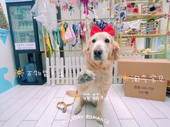 -百好乐宠物友好餐厅(朝外大街店)