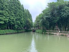-乌镇东栅景区