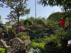 景观位-青城甲(青城山店)