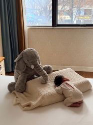 -满天星母婴月子中心(湖塘馆)