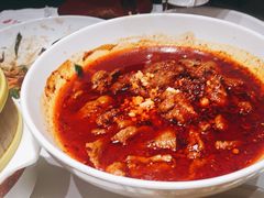 -大鸭梨烤鸭店(花园村店)