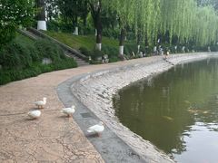 -中国农业博物馆