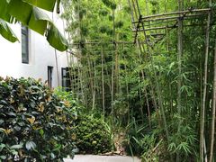 -水月周庄铂尔曼酒店-水月荟中餐厅