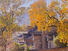 -塔川景区