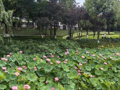 -沐仙湖湿地公园