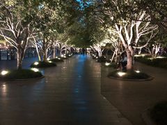-钱江新城灯光秀