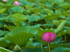 -江苏三台山国家森林公园