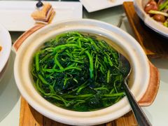 原汁原味西洋菜-利苑酒家(宜安广场店)