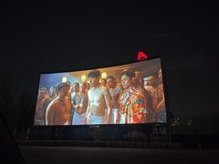 -枫花园汽车电影院(朝阳公园店)