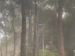 -缙云山景区