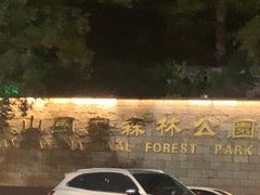 -潜山国家森林公园